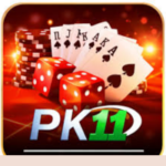 PK11 Game