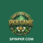 PK8 Game