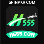 H555 Game