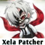 ZELA PATCHER