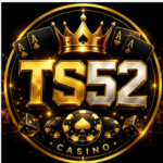 TS52 Game APK Online