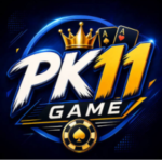 PK11 Game
